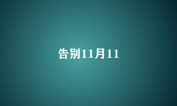 告别11月11
