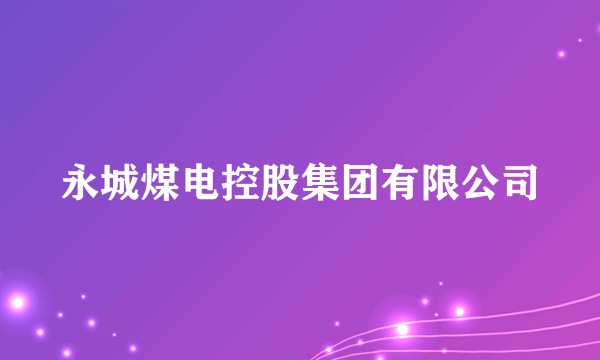 永城煤电控股集团有限公司