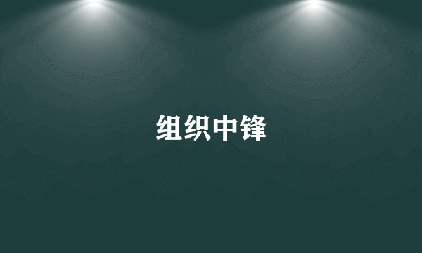 组织中锋