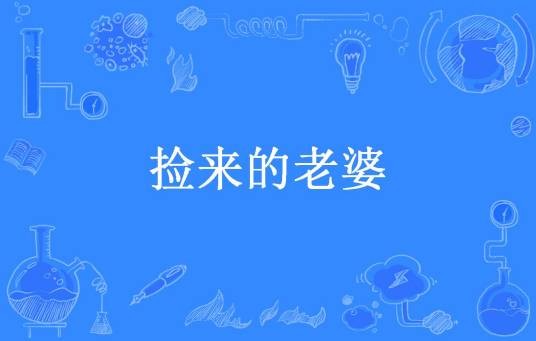 捡来的老婆（GL糖糖所著小说）