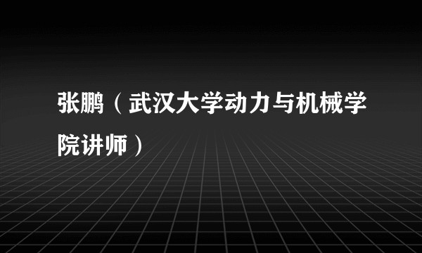 张鹏（武汉大学动力与机械学院讲师）