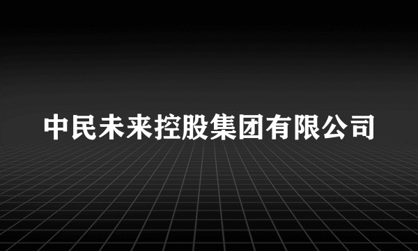 中民未来控股集团有限公司