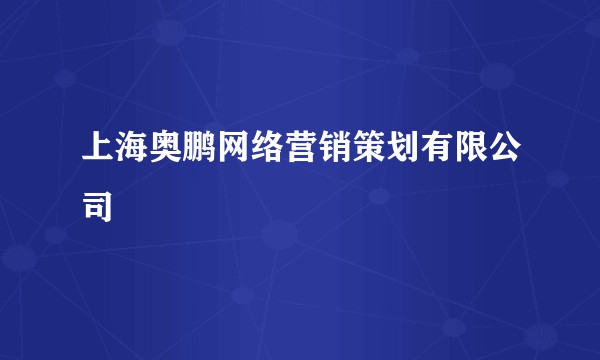 上海奥鹏网络营销策划有限公司
