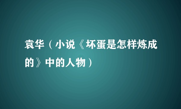 袁华（小说《坏蛋是怎样炼成的》中的人物）