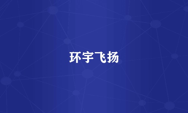 环宇飞扬