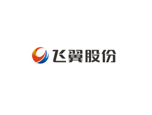 飞翼股份有限公司