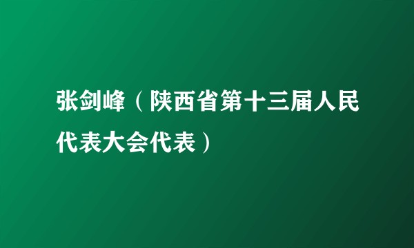 张剑峰（陕西省第十三届人民代表大会代表）