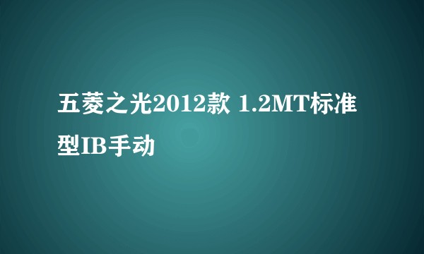 五菱之光2012款 1.2MT标准型IB手动