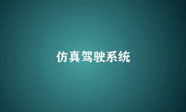 仿真驾驶系统