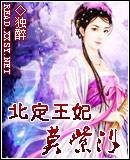 北定王妃莫紫汐