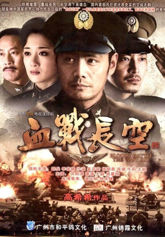 血战长空(2010年高希希执导的电视剧)