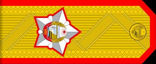 次帅