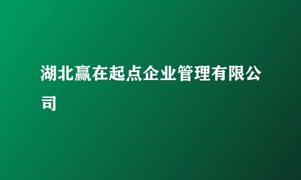 湖北赢在起点企业管理有限公司