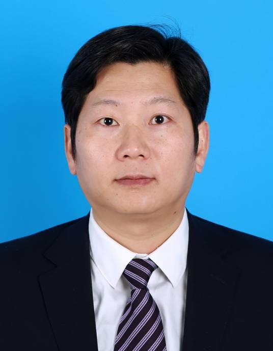 刘琦(复旦大学芯片与系统前沿技术研究院教授)