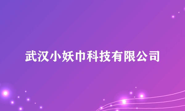 武汉小妖巾科技有限公司