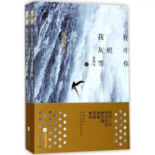 我在灰烬中等你(2017年江苏凤凰文艺出版社出版的图书)