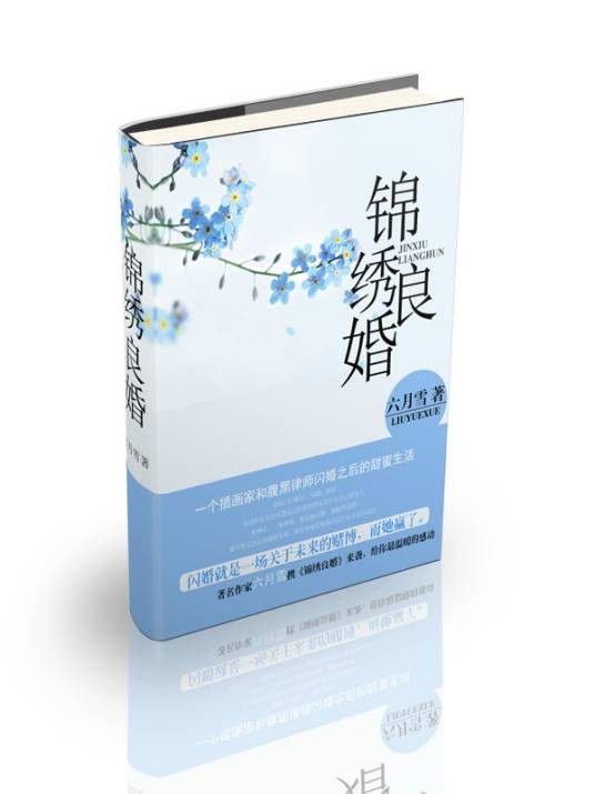 锦绣良婚（六月雪创作的网络小说）