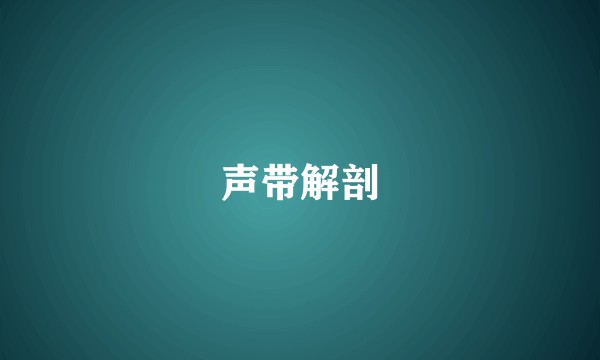 声带解剖