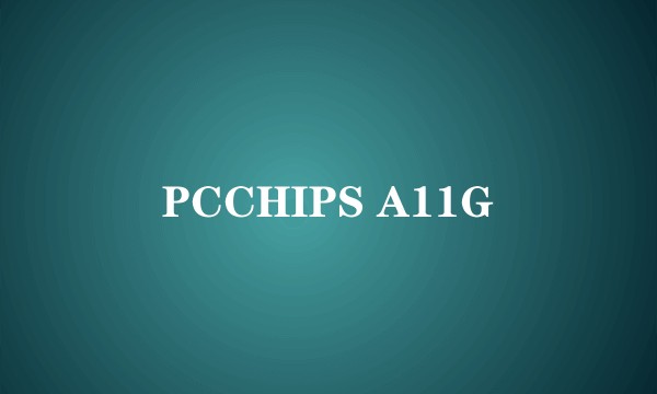 PCCHIPS A11G