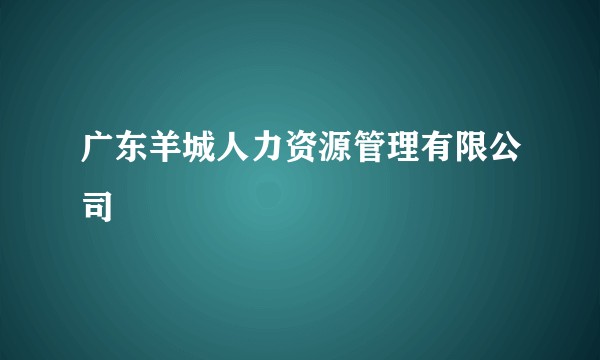 广东羊城人力资源管理有限公司