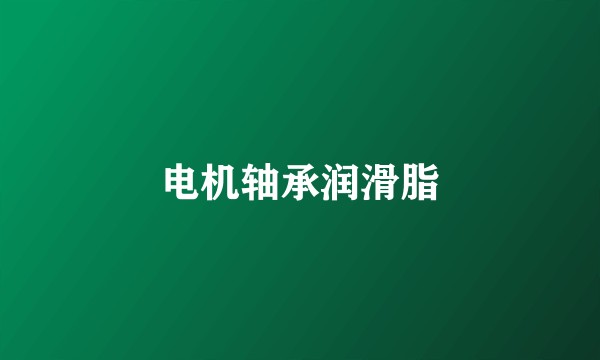 电机轴承润滑脂