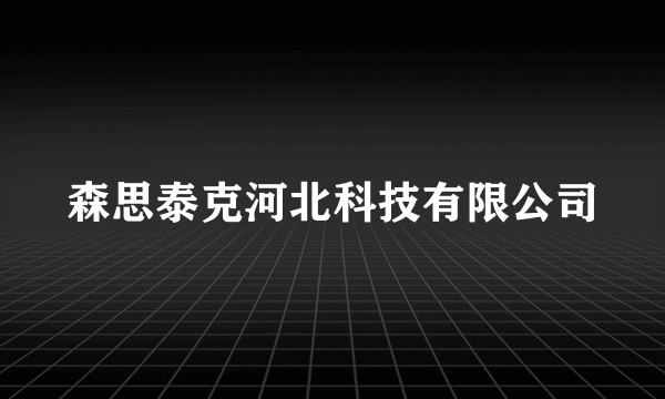 森思泰克河北科技有限公司