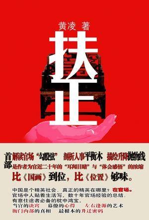 扶正(2011年江苏文艺出版社出版的图书)