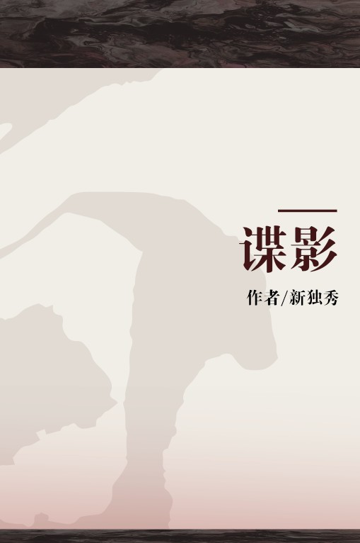 谍影（2011年出品小说）