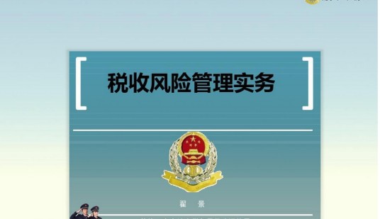 税务风险（经济学领域术语）