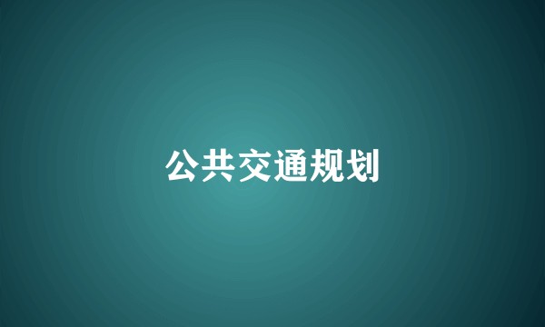 公共交通规划