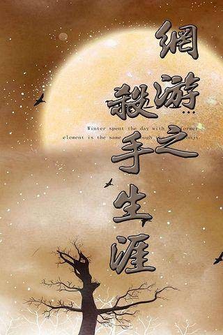 网游之杀手生涯
