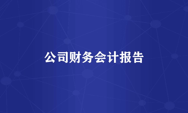 公司财务会计报告