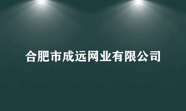 合肥市成远网业有限公司