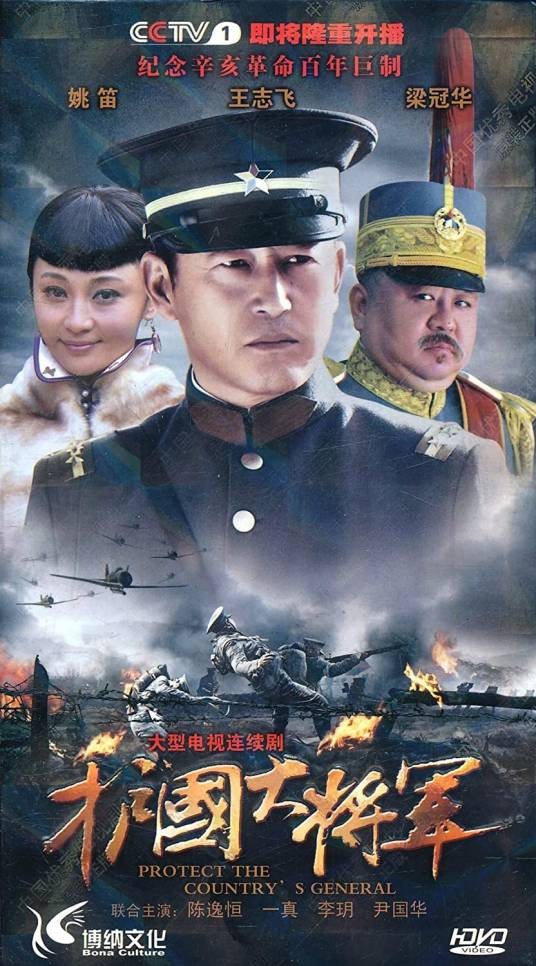 护国大将军(2011年王文杰执导电视剧)