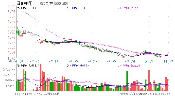 保证合同制度