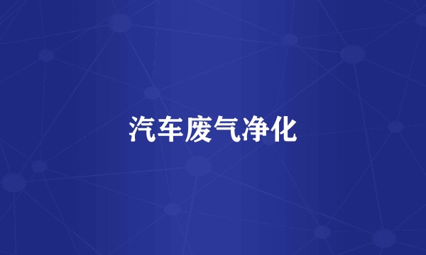 汽车废气净化