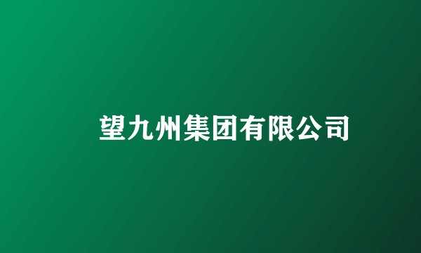 瞭望九州集团有限公司