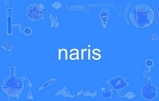 naris