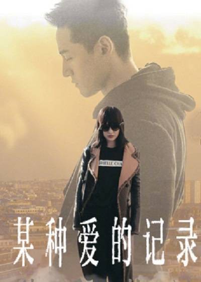 某种爱的记录(2017年胡歌、周迅主演网剧)