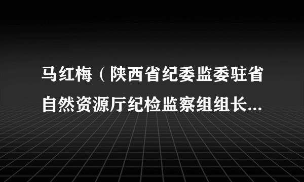 马红梅（陕西省纪委监委驻省自然资源厅纪检监察组组长、厅党组成员）