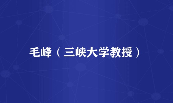 毛峰（三峡大学教授）