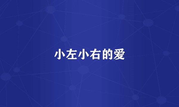 小左小右的爱