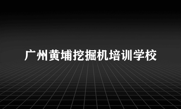 广州黄埔挖掘机培训学校