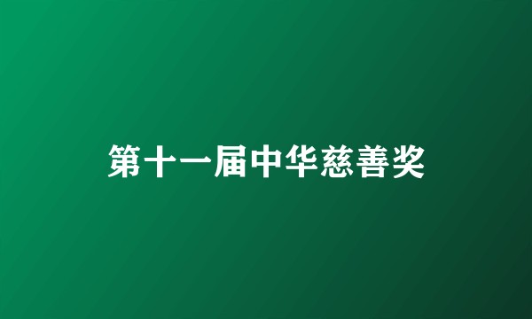 第十一届中华慈善奖
