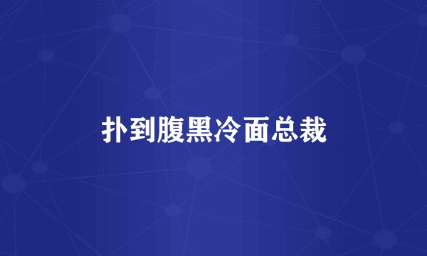 扑到腹黑冷面总裁