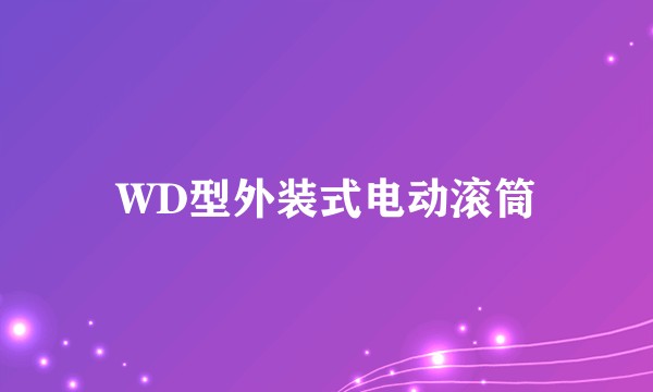 WD型外装式电动滚筒