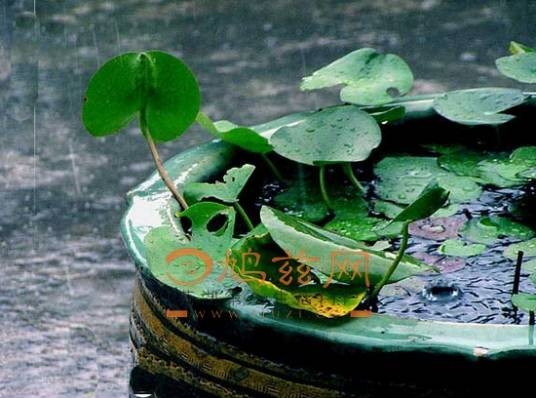 水无月（日本历中的六月）