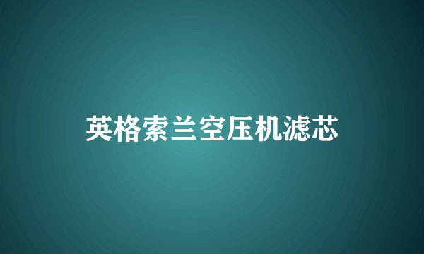 英格索兰空压机滤芯
