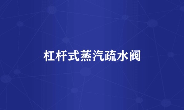 杠杆式蒸汽疏水阀