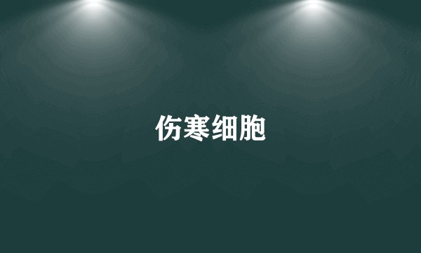 伤寒细胞